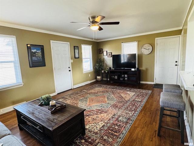 living room with ceiling fan, ornamental molding, and dark hardwood / wood-style flooring