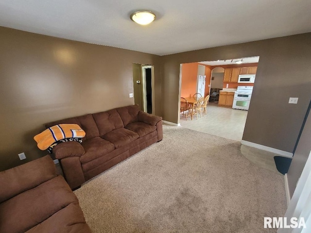 living room featuring light colored carpet