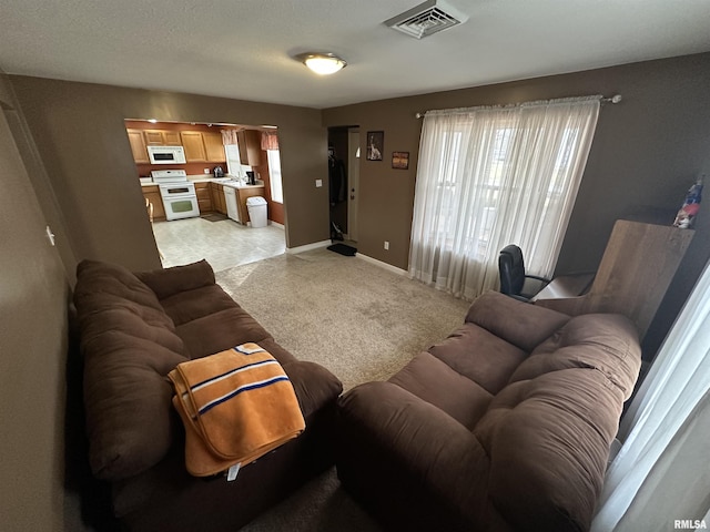 living room with light colored carpet