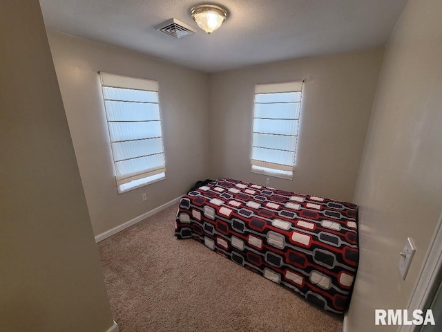 bedroom with carpet flooring and multiple windows