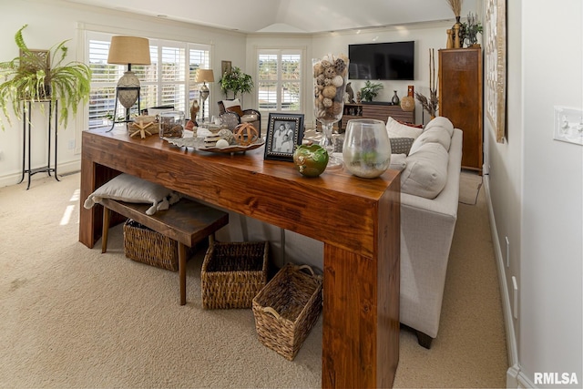 interior space with light colored carpet