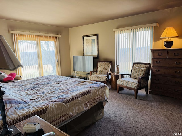 bedroom with multiple windows, carpet, and access to exterior