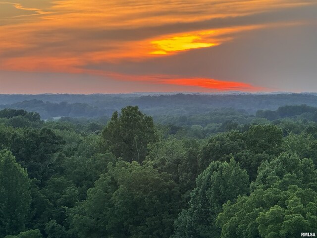 mountain view with a view of trees