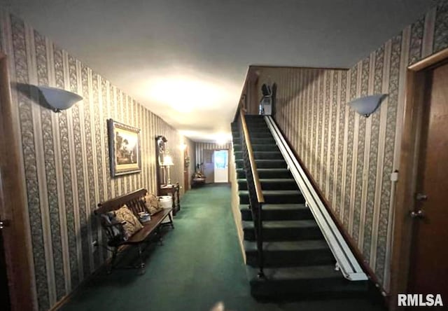 staircase with carpet