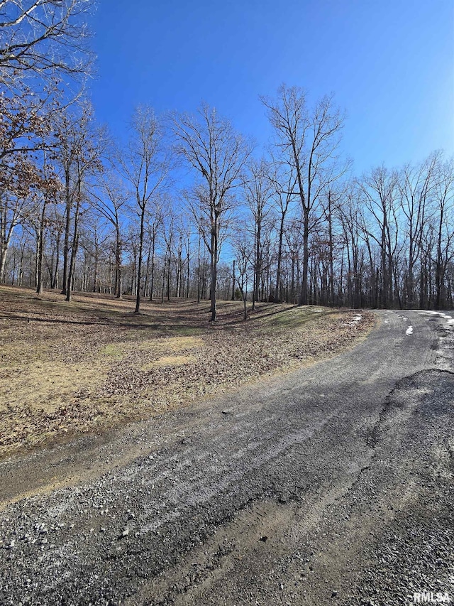 361 Cherokee Ridge Ln, Carbondale, IL 62901 - photo 27