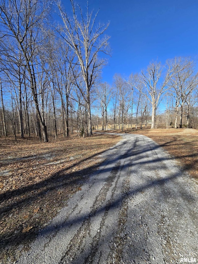361 Cherokee Ridge Ln, Carbondale, IL 62901 - photo 29