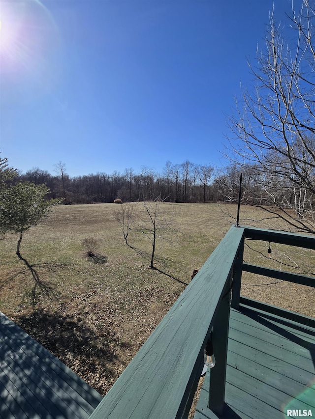 361 Cherokee Ridge Ln, Carbondale, IL 62901 - photo 30