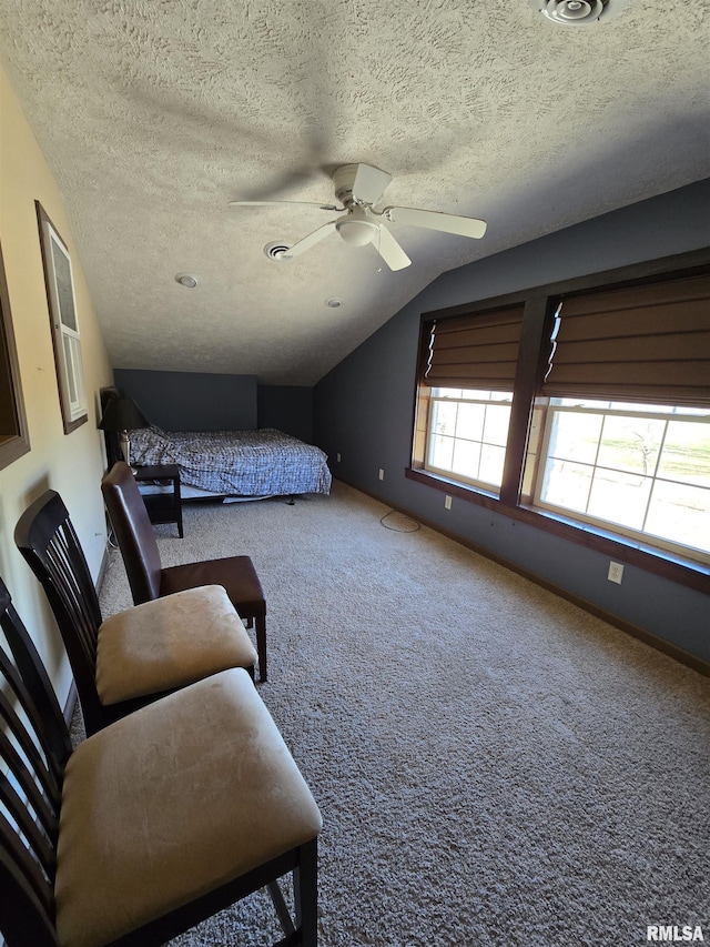 361 Cherokee Ridge Ln, Carbondale, IL 62901 - photo 32
