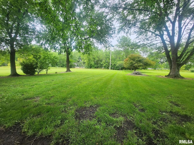3524 US Route 51st Hwy, Duquoin, IL 62832 - photo 18
