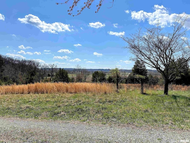 view of local wilderness with a rural view