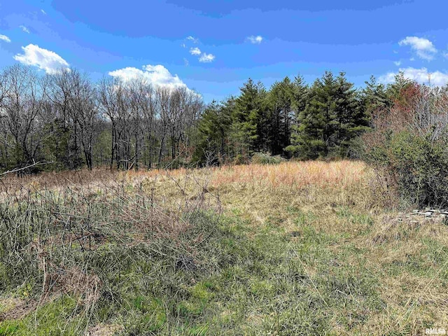 view of local wilderness