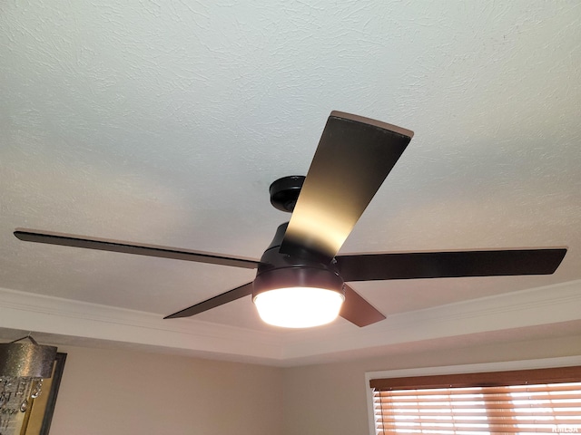 interior details featuring ceiling fan and crown molding