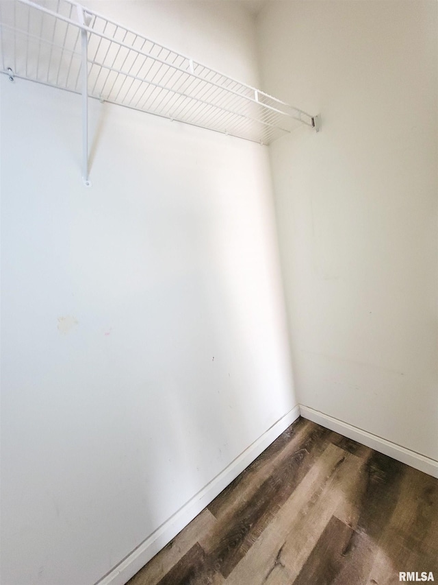 spacious closet with wood-type flooring