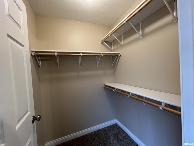 walk in closet with carpet floors