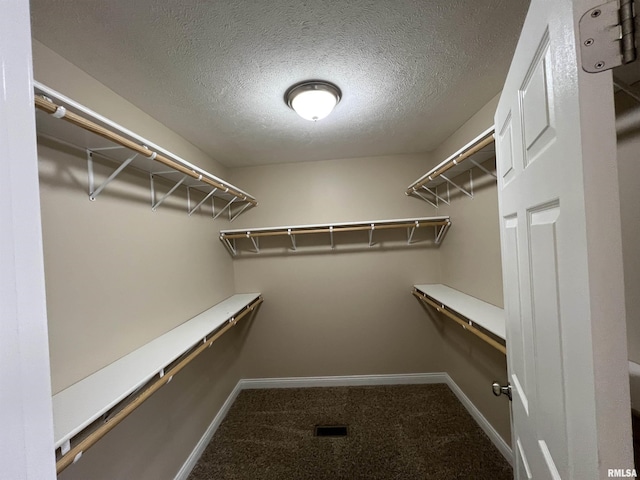 spacious closet with carpet flooring