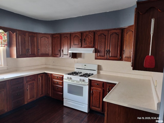 kitchen with white gas stove and dark hardwood / wood-style floors