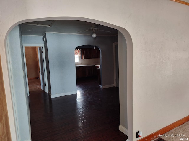 corridor with dark hardwood / wood-style flooring and ornamental molding