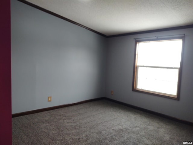 85 Bethlehem Church Ln, Vienna, IL 62995 - spare room featuring a textured ceiling, ornamental molding, carpet flooring, and baseboards
