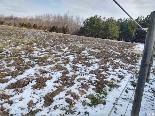 85 Bethlehem Church Ln, Vienna, IL 62995 - view of snowy yard
