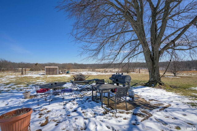 snowy yard with an outbuilding