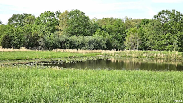 2520 N America Rd, Galatia, IL 62935 - property view of water