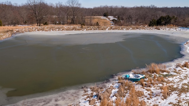 snow covered pool with a wooded view