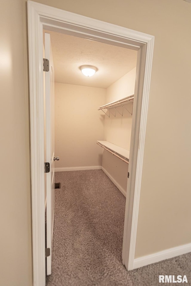 spacious closet featuring carpet floors