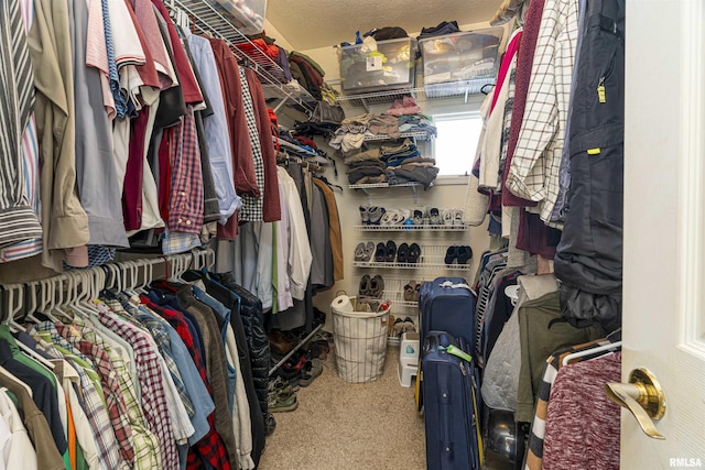 spacious closet with carpet