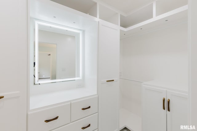 1437 Nassau Ln, Marion, IL 62959 - view of walk in closet