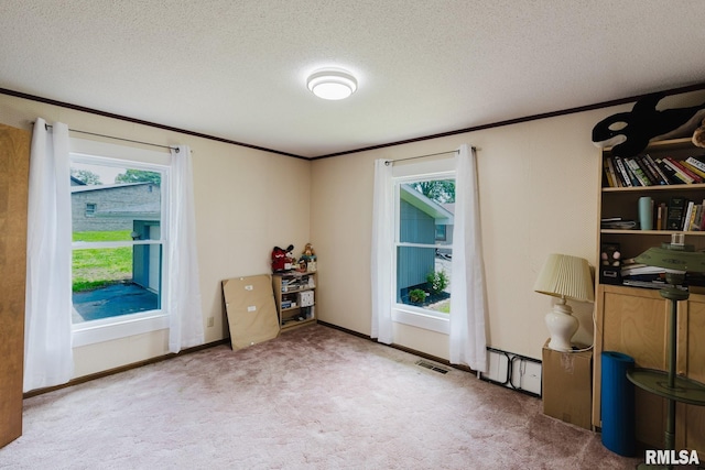 1437 Nassau Ln, Marion, IL 62959 - carpeted bedroom featuring multiple windows, crown molding, a textured ceiling, and baseboards