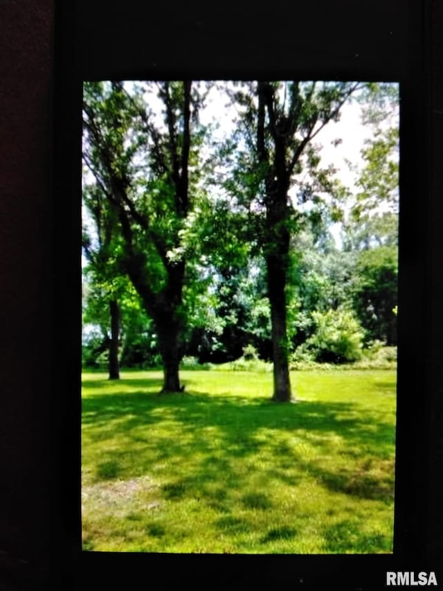 1600AND1604 Mahoney St, Eldorado IL, 62930 land for sale