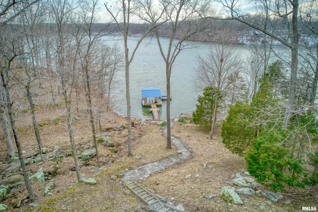 water view featuring a boat dock