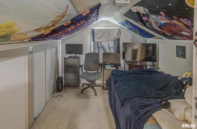 600 N Washington St, Sparta, IL 62286 - bedroom with lofted ceiling and carpet flooring