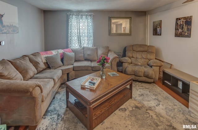 living area featuring wood finished floors