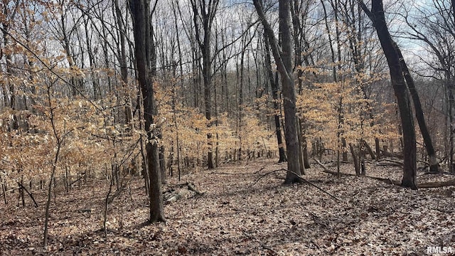 1548 Koehn Rd, Ava, IL 62907 - view of landscape with a wooded view