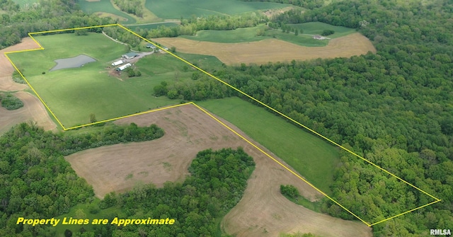 1548 Koehn Rd, Ava, IL 62907 - birds eye view of property with a forest view and a rural view