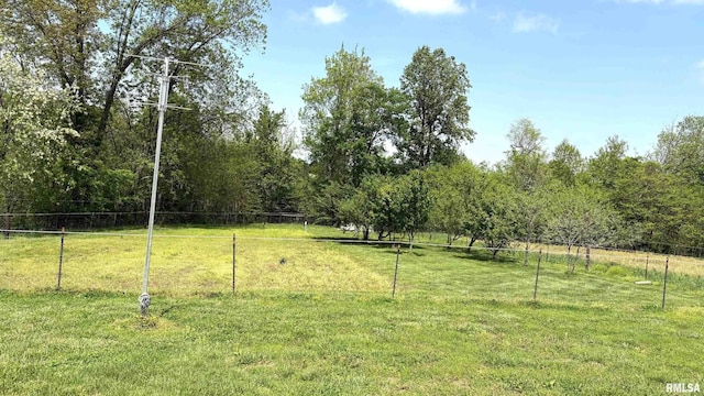 1548 Koehn Rd, Ava, IL 62907 - view of yard featuring fence