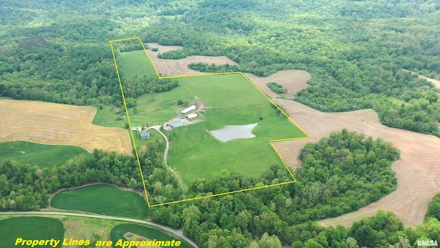 1548 Koehn Rd, Ava, IL 62907 - view of landscape featuring a wooded view