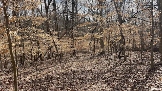 1548 Koehn Rd, Ava, IL 62907 - view of local wilderness