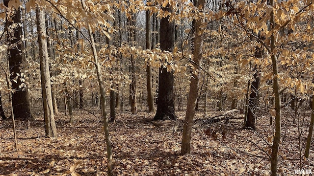 1548 Koehn Rd, Ava, IL 62907 - view of nature