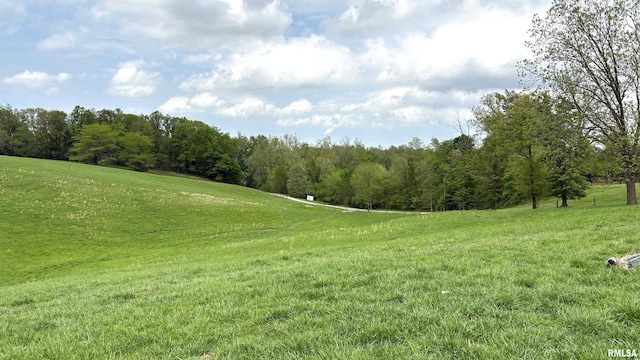 1548 Koehn Rd, Ava, IL 62907 - view of local wilderness