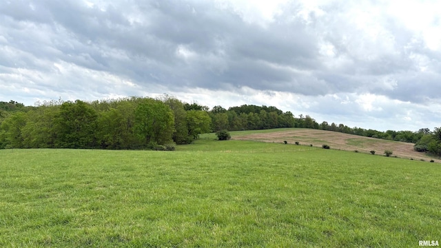1548 Koehn Rd, Ava, IL 62907 - view of yard featuring a rural view