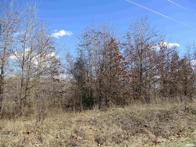 0000 Antioch Rd, West Frankfort IL, 62896 land for sale