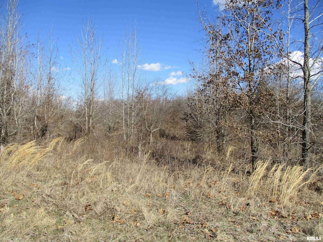 0000 Antioch Rd, West Frankfort, IL 62896