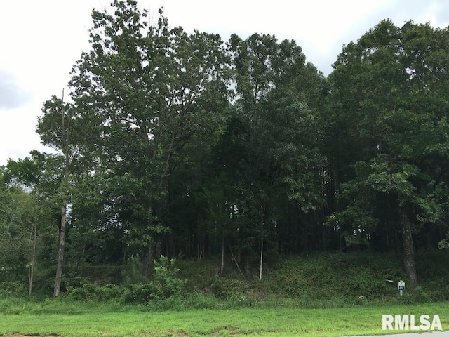 00 Parrish Ridge Ln, Goreville IL, 62972 land for sale