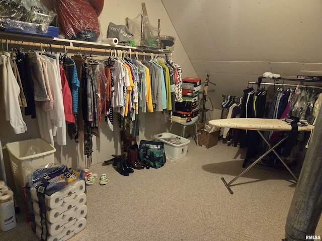 spacious closet with carpet