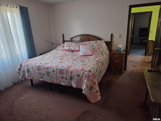 bedroom featuring carpet floors and multiple windows