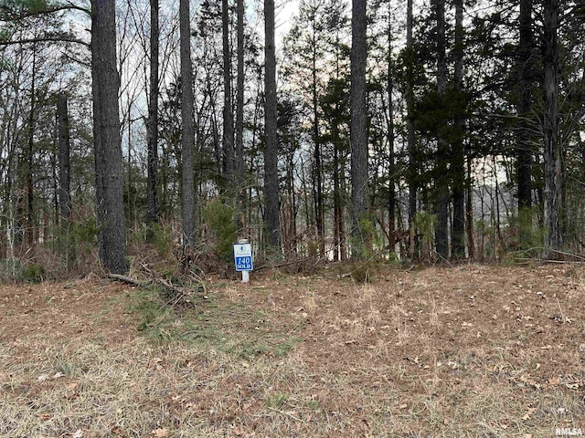 LOT140 Cherry Pt, Goreville IL, 62939 land for sale