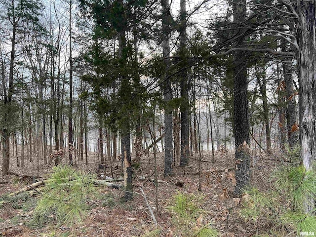 Listing photo 2 for LOT140 Cherry Pt, Goreville IL 62939