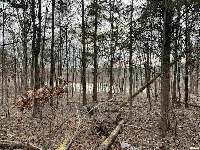 Listing photo 3 for LOT140 Cherry Pt, Goreville IL 62939